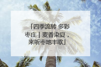 四季流转 多彩枣庄｜麦香染夏，来听枣地丰歌