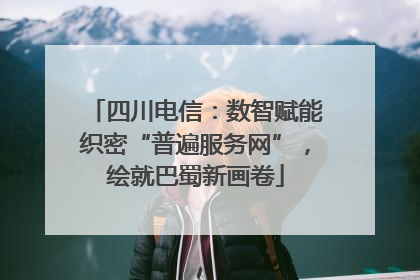 四川电信：数智赋能织密“普遍服务网”，绘就巴蜀新画卷