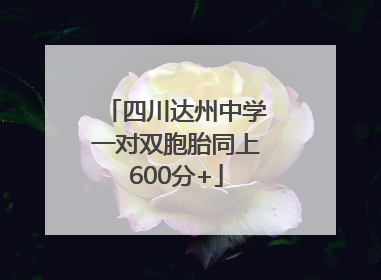 四川达州中学一对双胞胎同上600分+