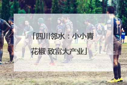 四川邻水：小小青花椒 致富大产业