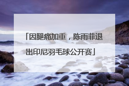 因腿痛加重，陈雨菲退出印尼羽毛球公开赛