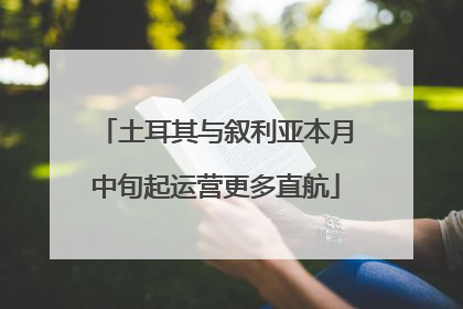 土耳其与叙利亚本月中旬起运营更多直航