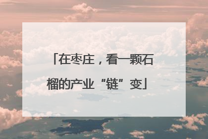 在枣庄，看一颗石榴的产业“链”变