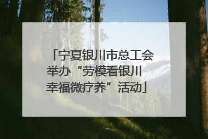 宁夏银川市总工会举办“劳模看银川 幸福微疗养”活动
