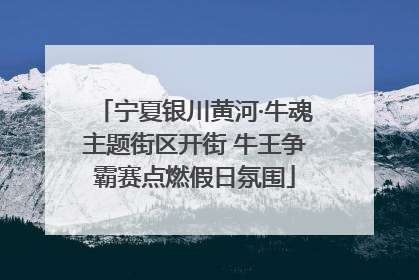 宁夏银川黄河·牛魂主题街区开街 牛王争霸赛点燃假日氛围
