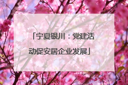 宁夏银川：党建活动促安居企业发展