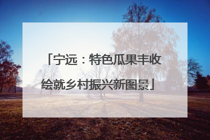 宁远：特色瓜果丰收绘就乡村振兴新图景