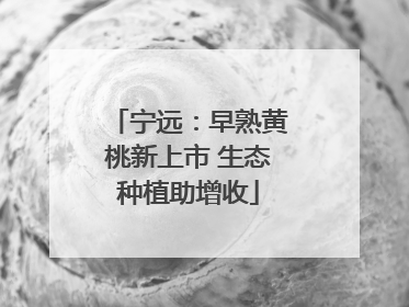 宁远：早熟黄桃新上市 生态种植助增收