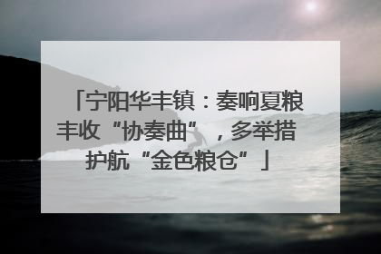 宁阳华丰镇：奏响夏粮丰收“协奏曲”，多举措护航“金色粮仓”