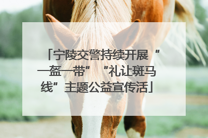 宁陵交警持续开展“一盔一带”“礼让斑马线”主题公益宣传活