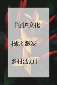 守护文化根脉 激发乡村活力