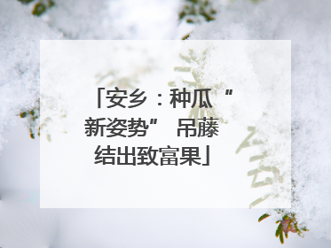 安乡：种瓜“新姿势” 吊藤结出致富果