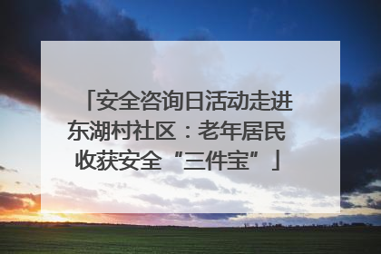 安全咨询日活动走进东湖村社区：老年居民收获安全“三件宝”