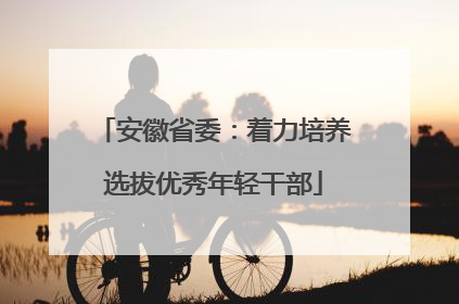 安徽省委：着力培养选拔优秀年轻干部