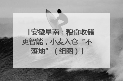 安徽阜南：粮食收储更智能，小麦入仓“不落地”（组图）