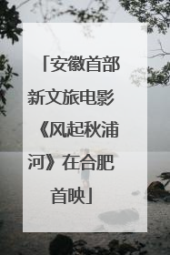 安徽首部新文旅电影《风起秋浦河》在合肥首映