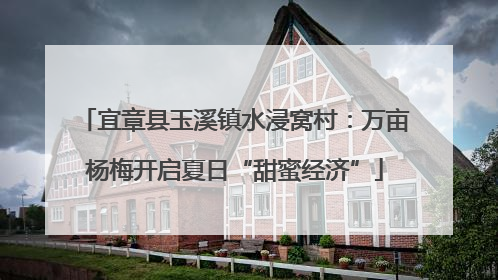 宜章县玉溪镇水浸窝村：万亩杨梅开启夏日“甜蜜经济”