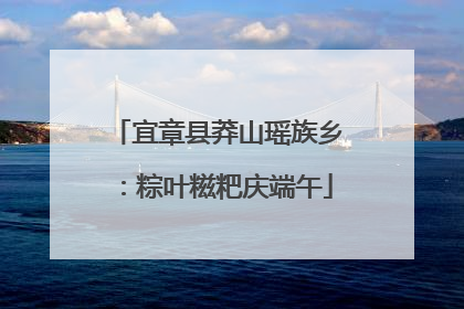 宜章县莽山瑶族乡：粽叶糍粑庆端午