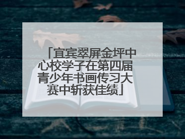 宜宾翠屏金坪中心校学子在第四届青少年书画传习大赛中斩获佳绩