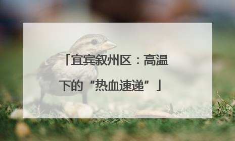 宜宾叙州区：高温下的“热血速递”