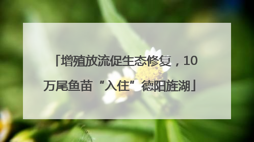 增殖放流促生态修复，10万尾鱼苗“入住”德阳旌湖