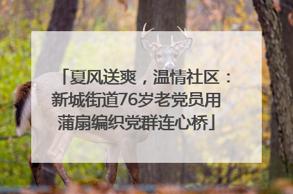 夏风送爽，温情社区：新城街道76岁老党员用蒲扇编织党群连心桥