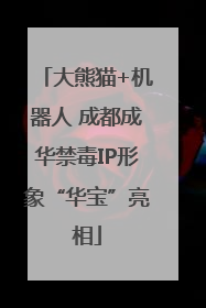 大熊猫+机器人 成都成华禁毒IP形象“华宝”亮相