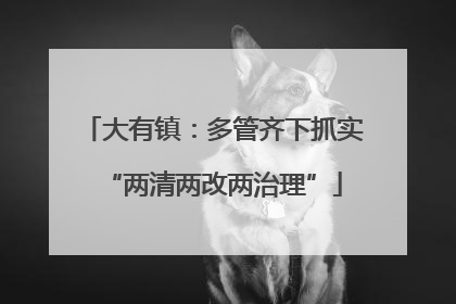 大有镇：多管齐下抓实“两清两改两治理”