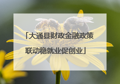 大通县财政金融政策联动稳就业促创业