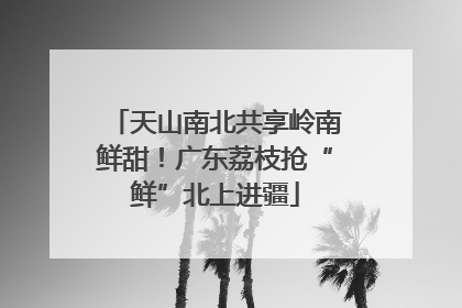 天山南北共享岭南鲜甜！广东荔枝抢“鲜”北上进疆