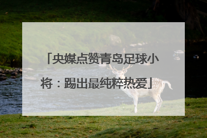 央媒点赞青岛足球小将：踢出最纯粹热爱