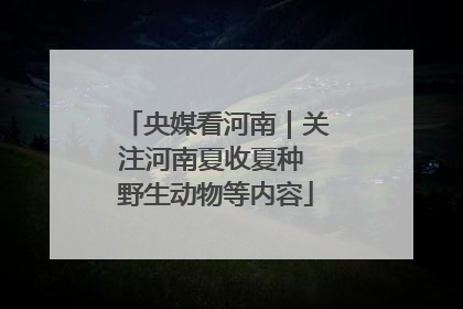 央媒看河南｜关注河南夏收夏种 野生动物等内容