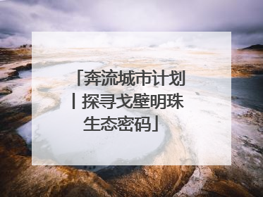 奔流城市计划丨探寻戈壁明珠生态密码