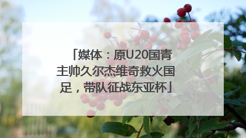 媒体：原U20国青主帅久尔杰维奇救火国足，带队征战东亚杯