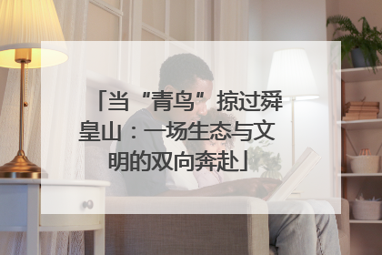 当“青鸟”掠过舜皇山：一场生态与文明的双向奔赴