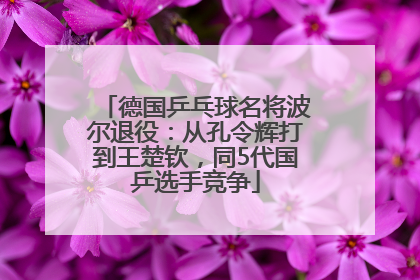 德国乒乓球名将波尔退役：从孔令辉打到王楚钦，同5代国乒选手竞争