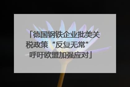 德国钢铁企业批美关税政策“反复无常” 呼吁欧盟加强应对