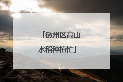 徽州区高山水稻种植忙