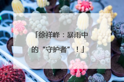 徐祥峰：暴雨中的“守护者”！