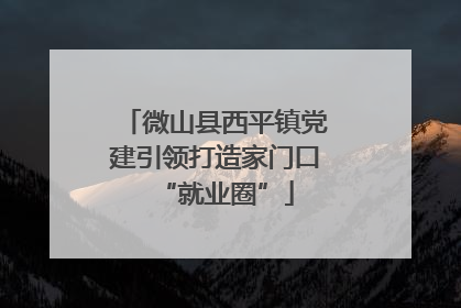 微山县西平镇党建引领打造家门口“就业圈”