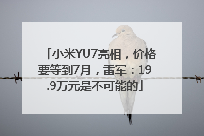 小米YU7亮相，价格要等到7月，雷军：19.9万元是不可能的