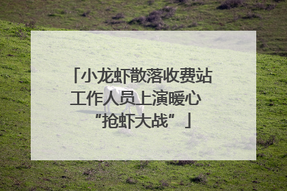 小龙虾散落收费站 工作人员上演暖心“抢虾大战”
