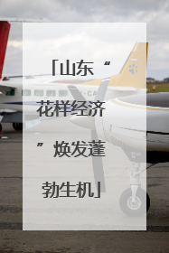 山东“花样经济”焕发蓬勃生机