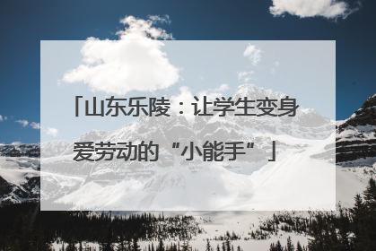 山东乐陵：让学生变身爱劳动的“小能手”