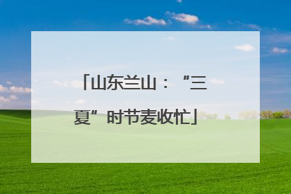 山东兰山：“三夏”时节麦收忙