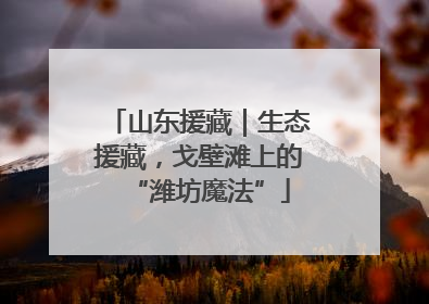 山东援藏｜生态援藏，戈壁滩上的“潍坊魔法”
