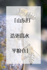 山东打造更高水平粮仓