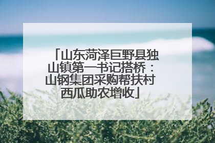 山东菏泽巨野县独山镇第一书记搭桥：山钢集团采购帮扶村西瓜助农增收