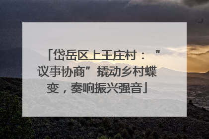 岱岳区上王庄村：“议事协商”撬动乡村蝶变，奏响振兴强音