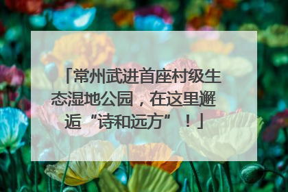常州武进首座村级生态湿地公园，在这里邂逅“诗和远方”！